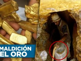 Los recientes descubrimientos de oro en la región norte de Bolivia están despertado la ambición de muchos. El metal precioso ha provocado una migración de chinos, colombianos y bolivianos. Pero también surgieron estos problemas por la fiebre del oro...