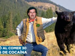 El 11 de septiembre de 1985, la Policía de Georgia, en Estados Unidos, encontró el cadáver de un oso negro bautizado como "Pablo Escobear", debido a que murió por una sobredosis tras consumir más de 30 kilos de cocaína que habían sido arrojados desde una avioneta.