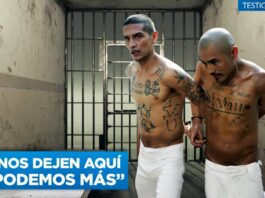 Testigo Directo ingresó a la mega cárcel de El Salvador, donde están recluidos más de 12.000 pandilleros de las maras.