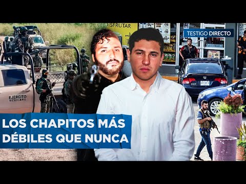 ¡⁣El FIN de Los CHAPITOS MÁS cerca que NUNCA!: TRAICIONES, EJECUCI0NES Y Ofensiva TOTAL de La MAYIZA - youtube