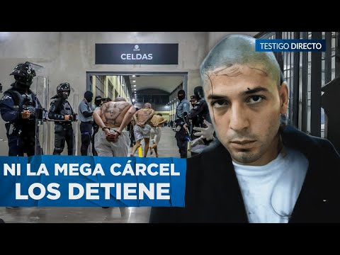 "El TREN de ARAGUA NO MERECE DERECH0S HUMANOS": La BANDA VENEZOLANA que Invade  y Controla Cárceles - youtube